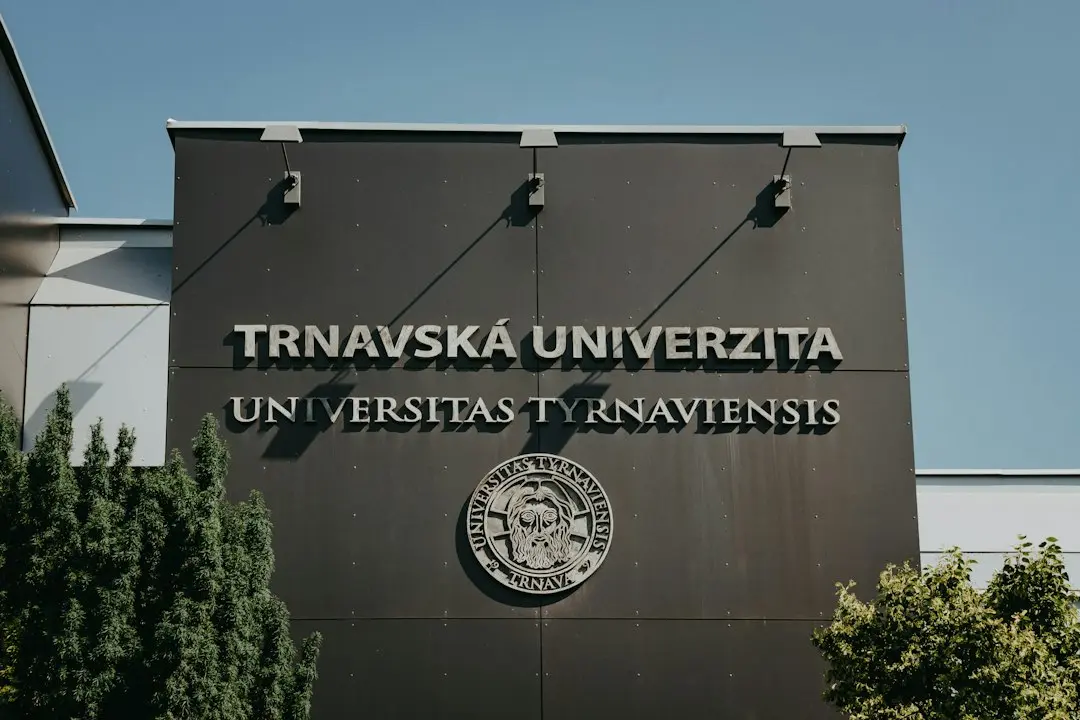 TVA ajustat pentru bunuri pierdute, distruse sau furate