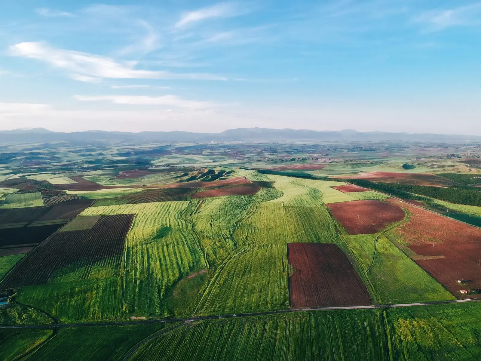 Impozitul pe arendă: Cât plătesc proprietarii de terenuri agricole din venitul brut